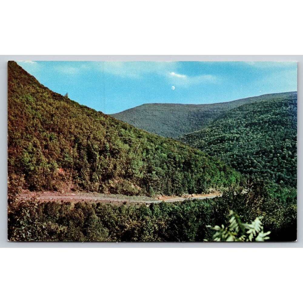 Vtg Postcard Looking Down The Clove Rip Van Winkle Trail Catskill Mts NY P883